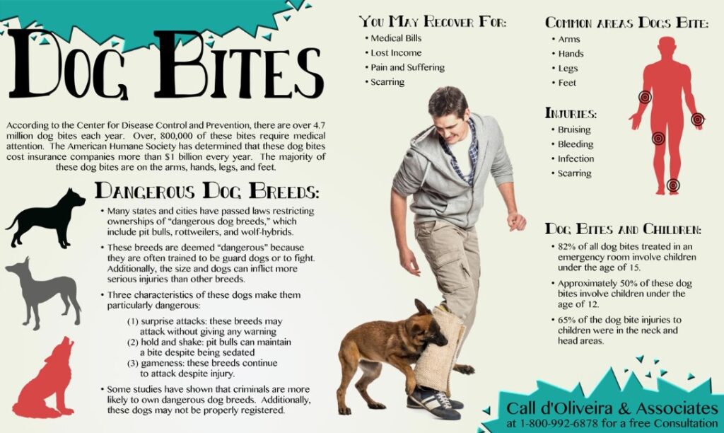 Common Types of Dog Bite Injuries