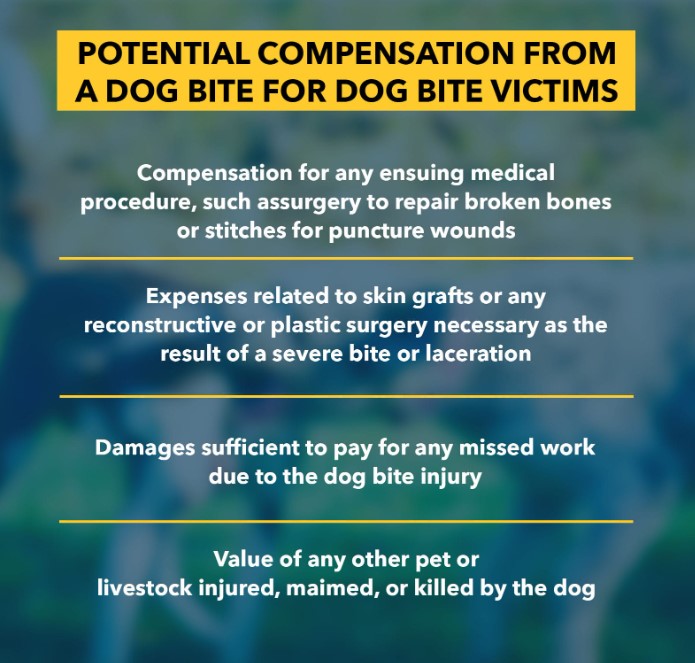 Compensation Dog Bite Cases