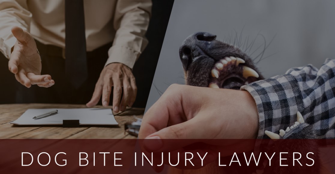 Dog Bite Injury Lawyers