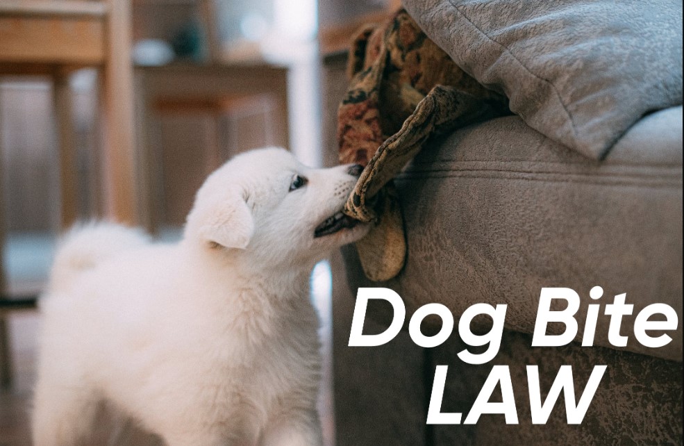 Dog Bite Law