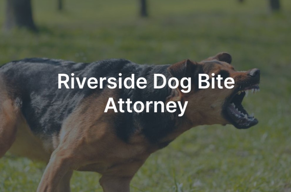 Dog Bite Laws in Riverside County