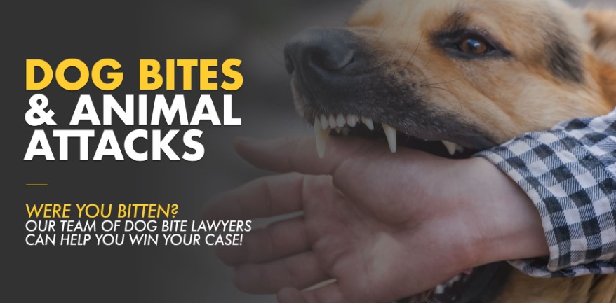 Inland Empire Dog Bite Lawyer