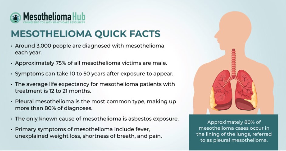 what is mesothelioma